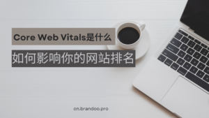 Core Web Vitals是一组衡量用户在浏览网站时的体验的真实世界指标。 它们基于 Google 的 Core Web Vitals，其中包括 Largest Contentful Paint (LCP)、First Input Delay (FID) 和 Cumulative Layout Shift (CLS)。 这些核心指标表明您的网页加载和响应用户交互的速度和流畅程度。 通过了解和改进这些指标，您可以在访问者使用您的网站时为他们提供最佳体验。 这种性能优化可确保访问者继续关注您的内容，从而提高参与率、转化率和收入机会。 此外，快速加载页面是 SEO 的关键排名因素之一，因此专注于提供最佳用户体验非常重要。