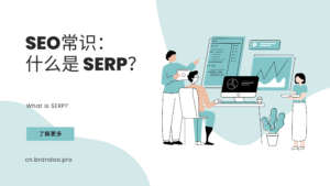 什么是SERP