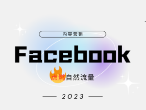 Facebook自然流量