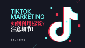 TikTok标签如何高效利用？5分钟告诉您