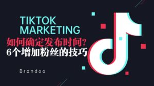 TikTok如何确定发布时间？6个增加粉丝的技巧